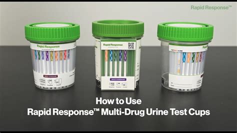 dropped urine cup in toilet drug test|they won't take urine reddit.